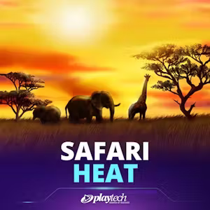 Safari heat